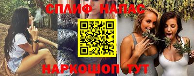 СК Абакан