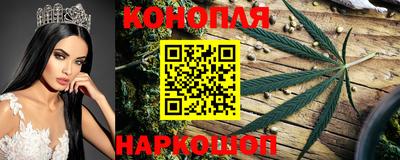 СК Абакан