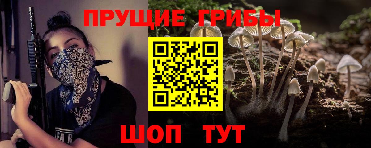 Азнакаево  цены наркотик  Псилоцибиновые грибы прущие грибы  Вход с VPN  Псилоцибиновые грибы Psilocybe 